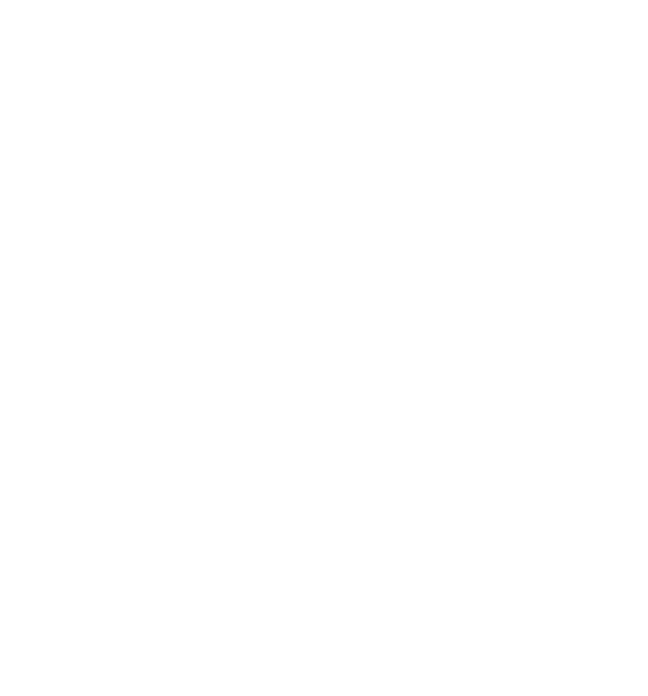 Summoner icon